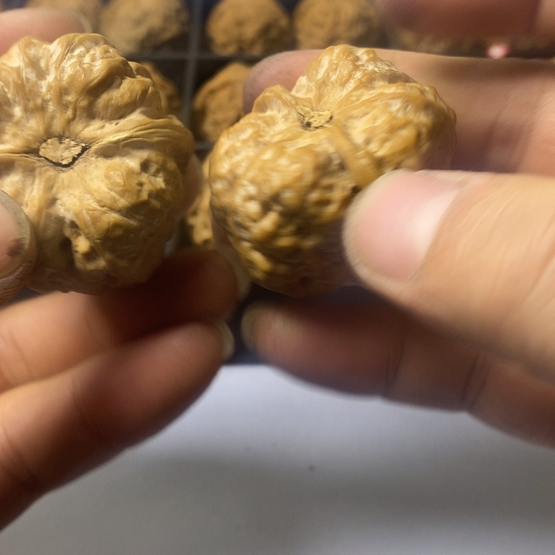 随***缘38尺寸。555555555