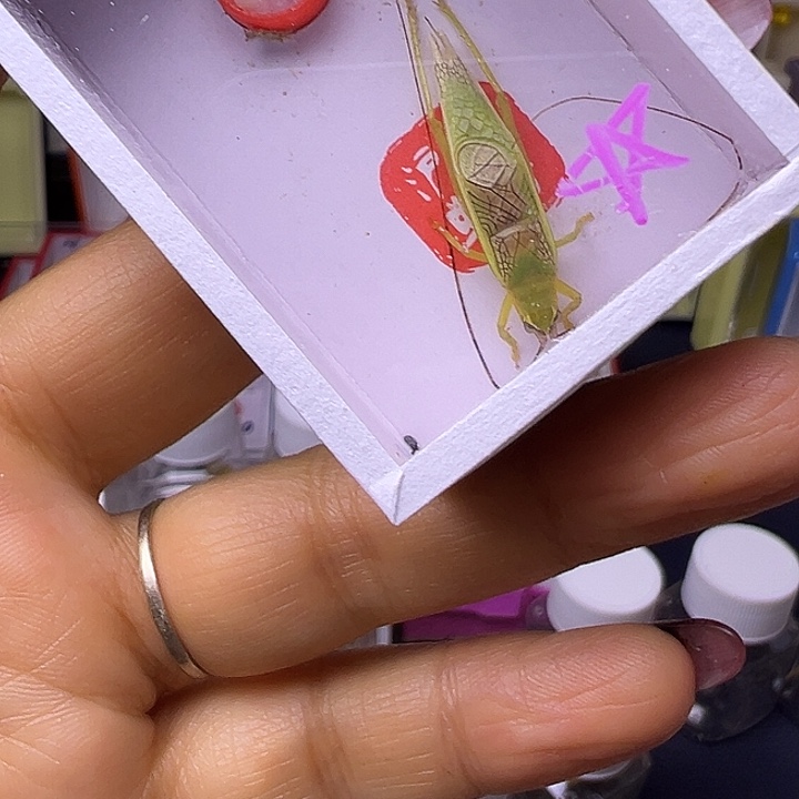 飞***鹰哈哈哈哈哈哈哈哈哈哈哈哈哈