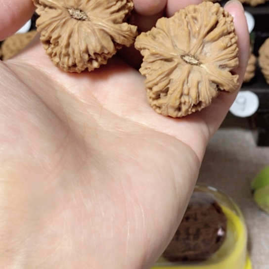 文玩核桃把件今天