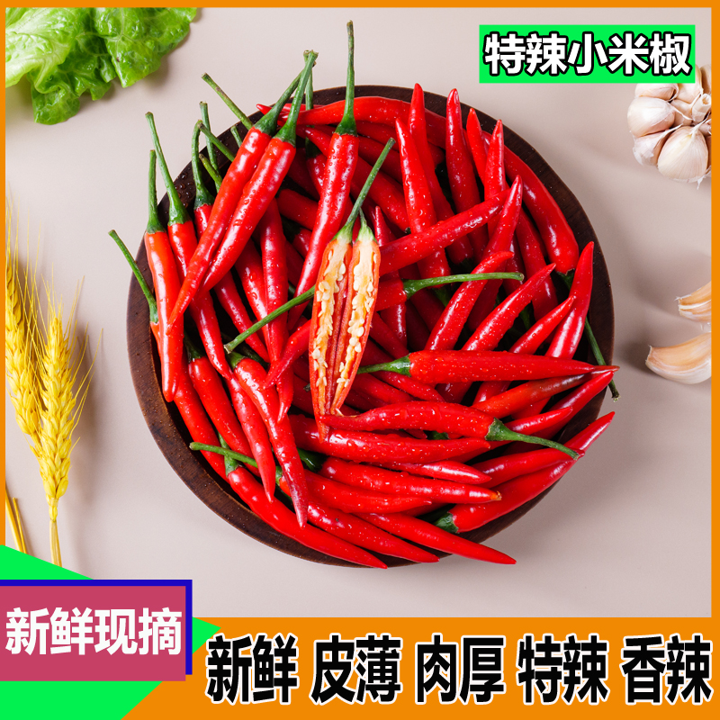 高山种植新鲜现摘特辣小米椒餐饮火锅食材蔬菜批发朝天椒泡椒剁椒