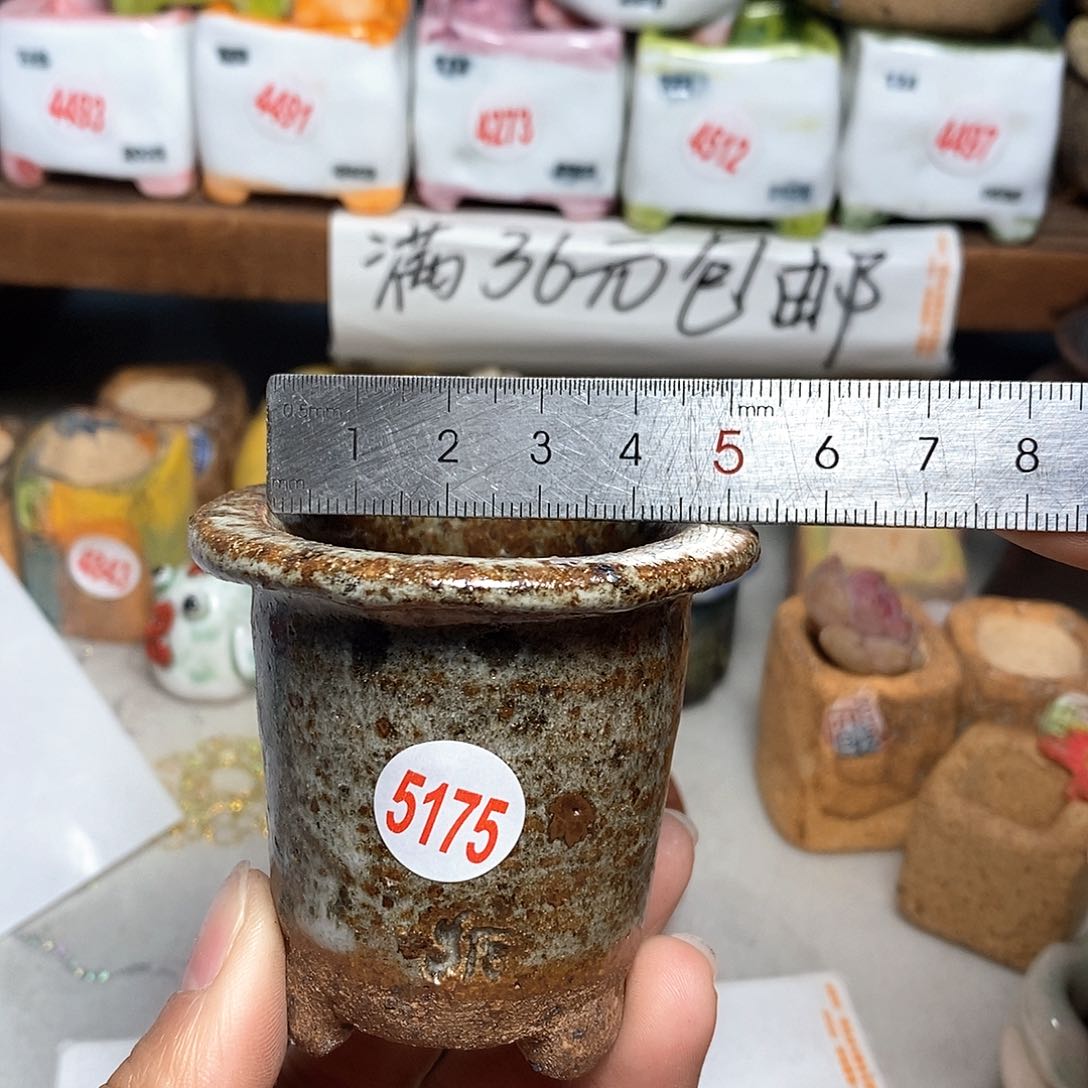 红陶拍5送一个小