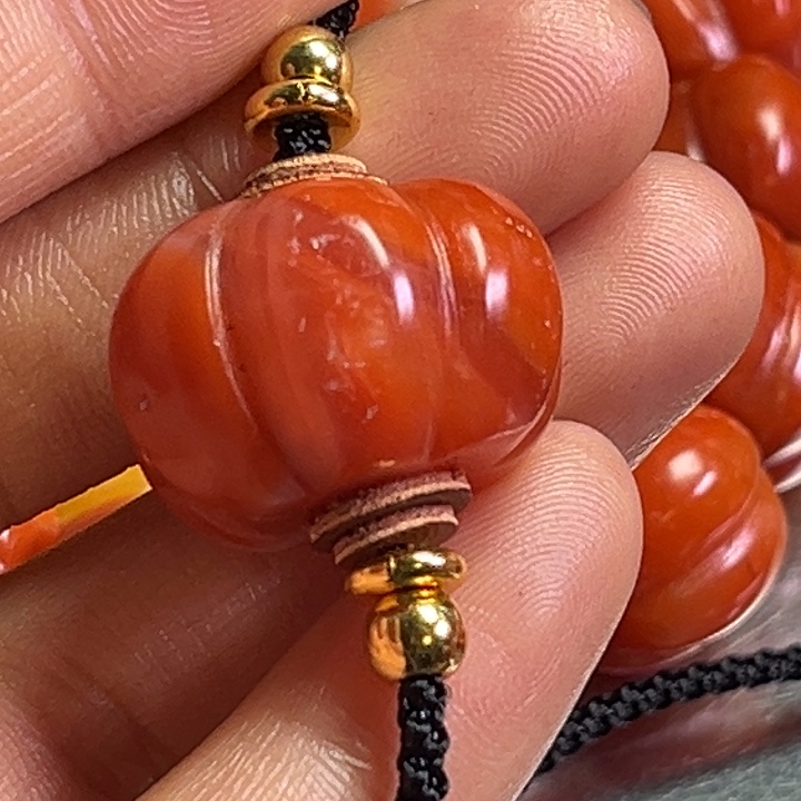 颈饰琉璃鸥琉璃………….