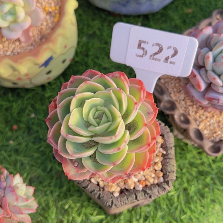 健健康康平平安安