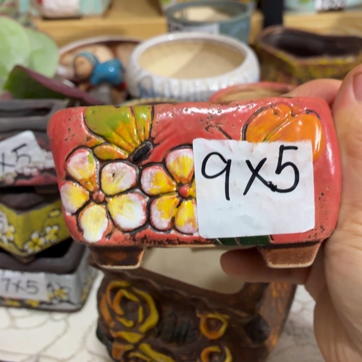 多肉花盆满15包邮