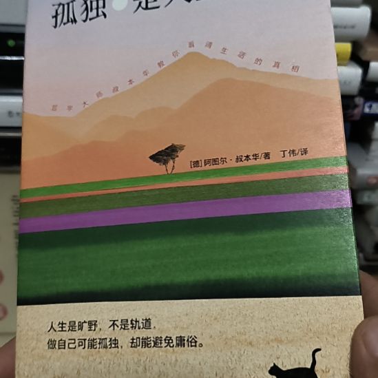 孤独是人生常态，微瑕