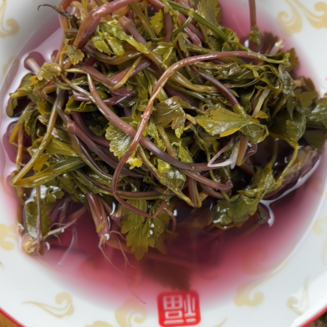 贵州特色野生芹菜   酸芹菜   芹菜酸