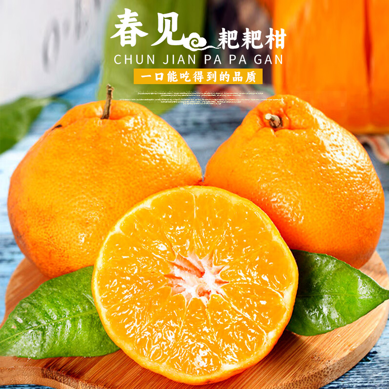 四川春见耙耙柑新鲜水果橘子粑粑当季整箱正宗丑杷杷桔子现摘发货