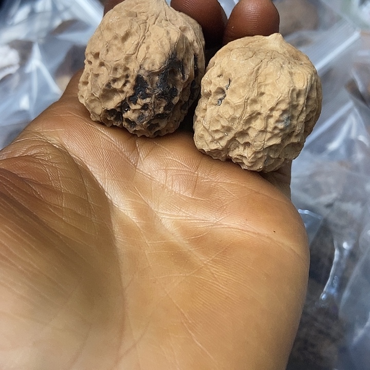 把件文玩核桃云南铁核桃基地3