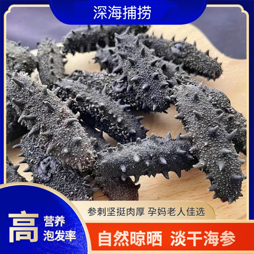  【国标海参】60-80头/斤渤海湾刺参营养品质
