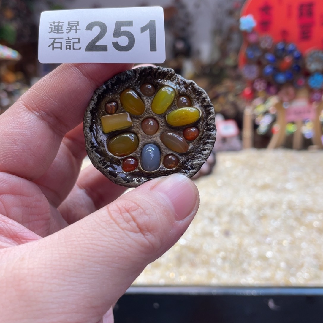 核桃木/黑胡桃（胡桃木）梦**见251