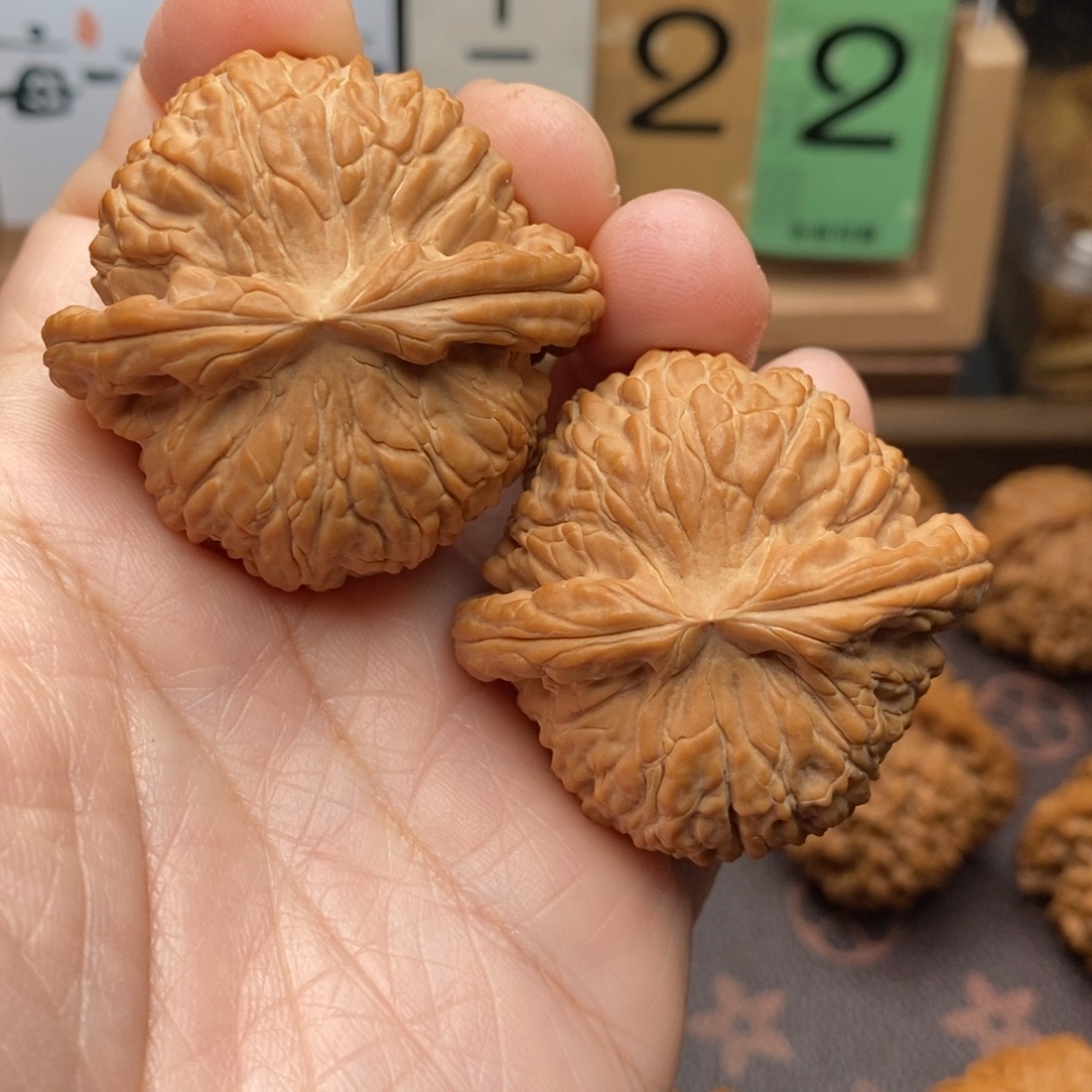 啊***七文玩核桃把件白狮子45