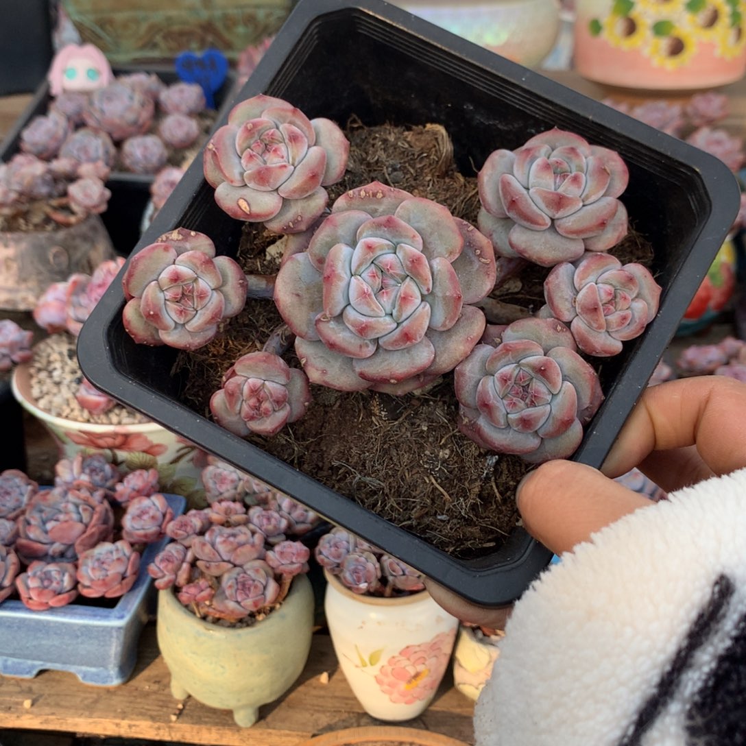 哈哈哈哈哈哈哈哈1