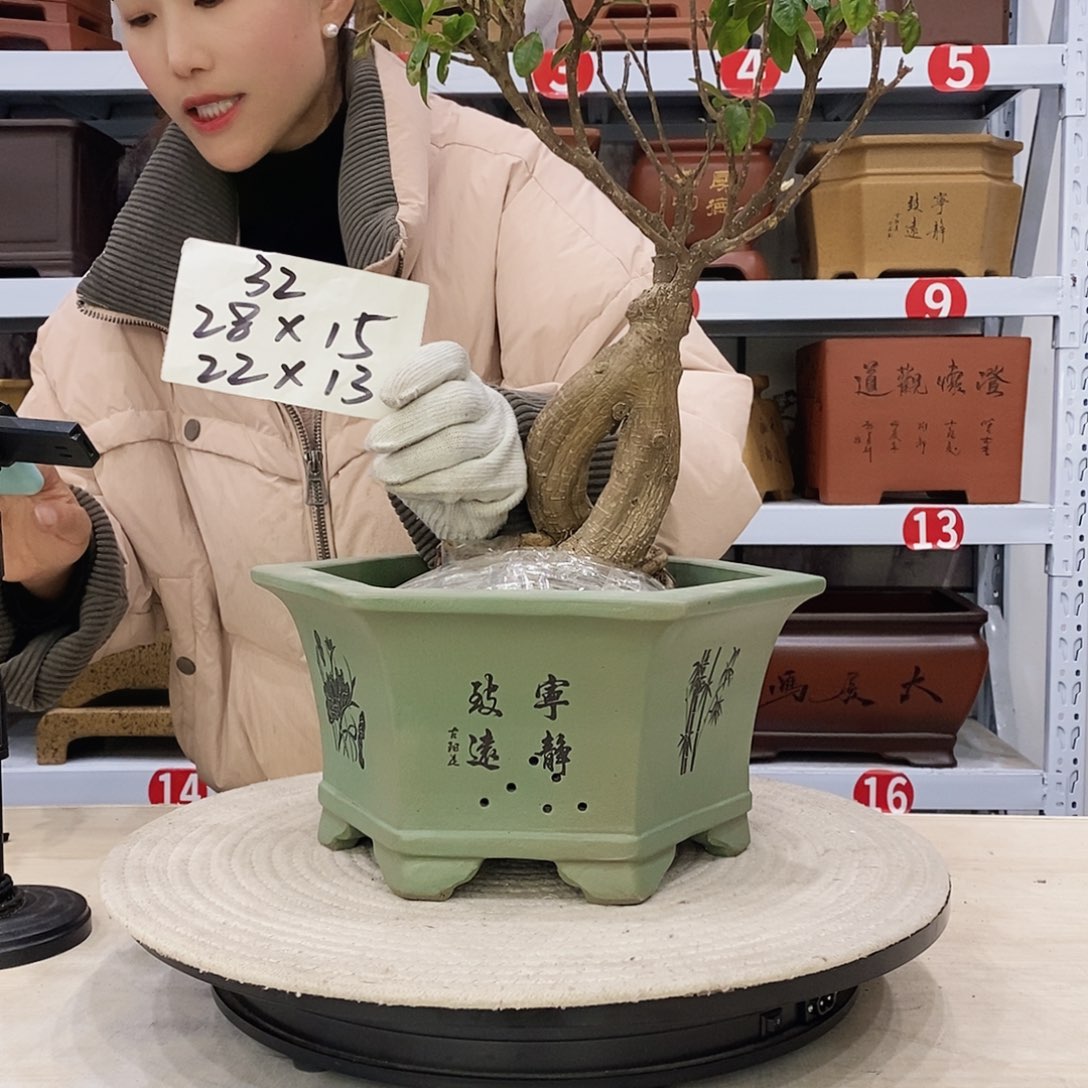 紫砂花盆紫砂花盆