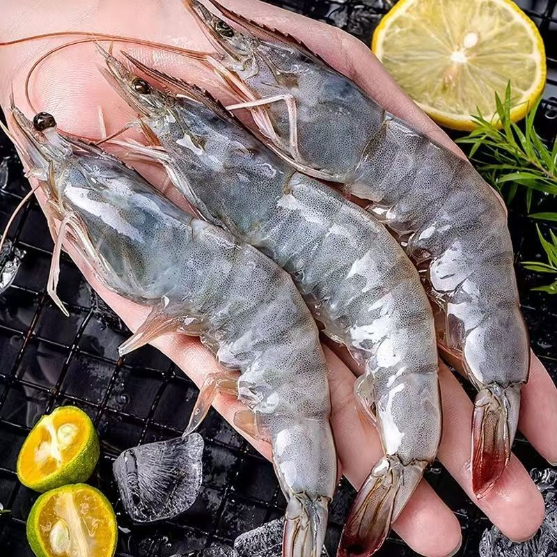 海水大虾4斤 肉质鲜嫩大个头海水大虾单只15~18cm 4斤共50~60只海虾
