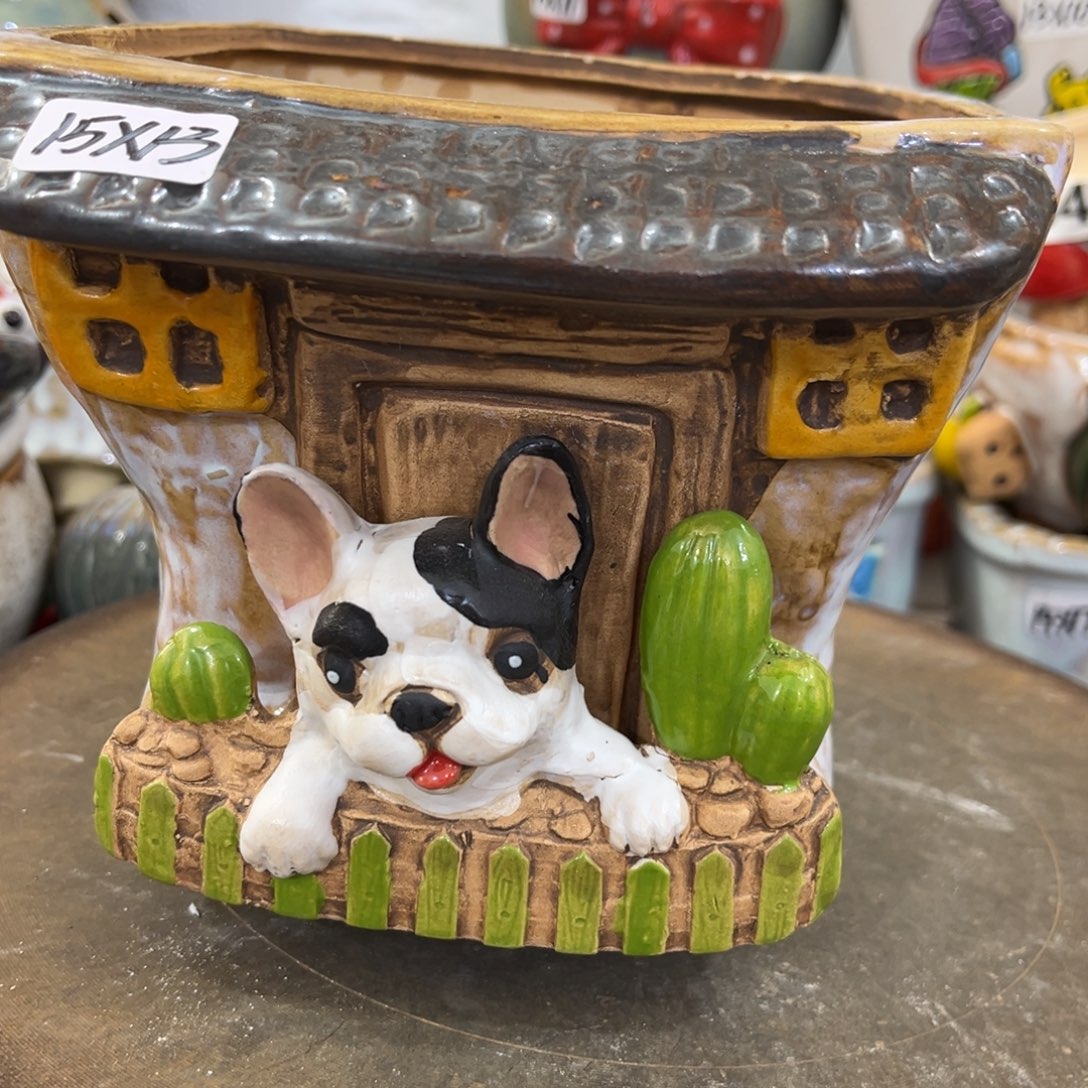 凑满15包邮发货发货