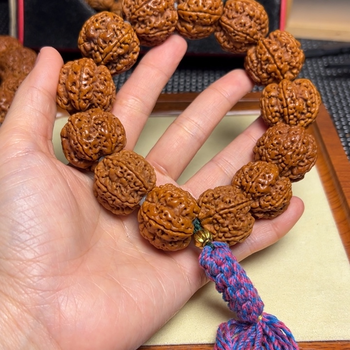 手串金刚菩提六瓣