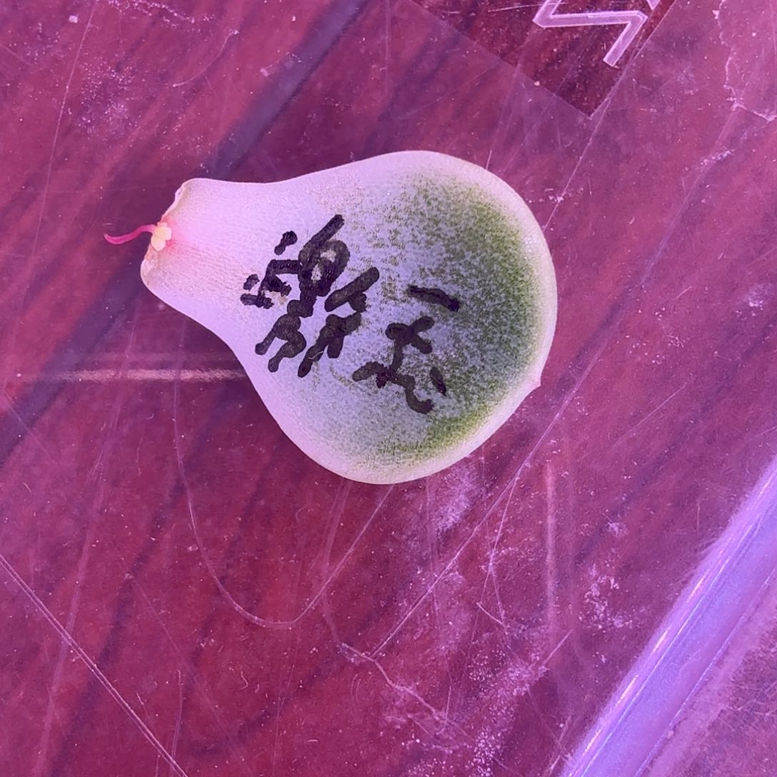川*?皦玉叶片一物一拍