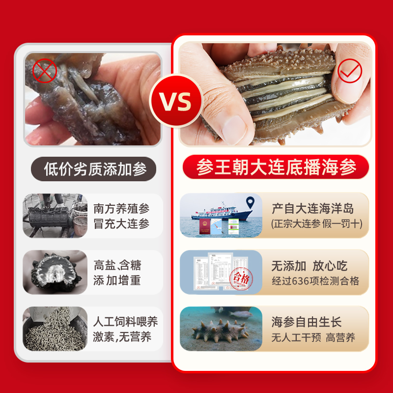 参王朝海参严选大连淡干辽刺参海参干货深海一斤礼盒