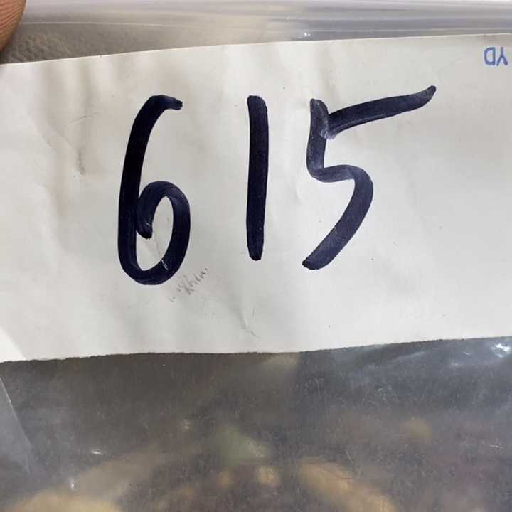 大***风娜娜文玩杂项专属链接