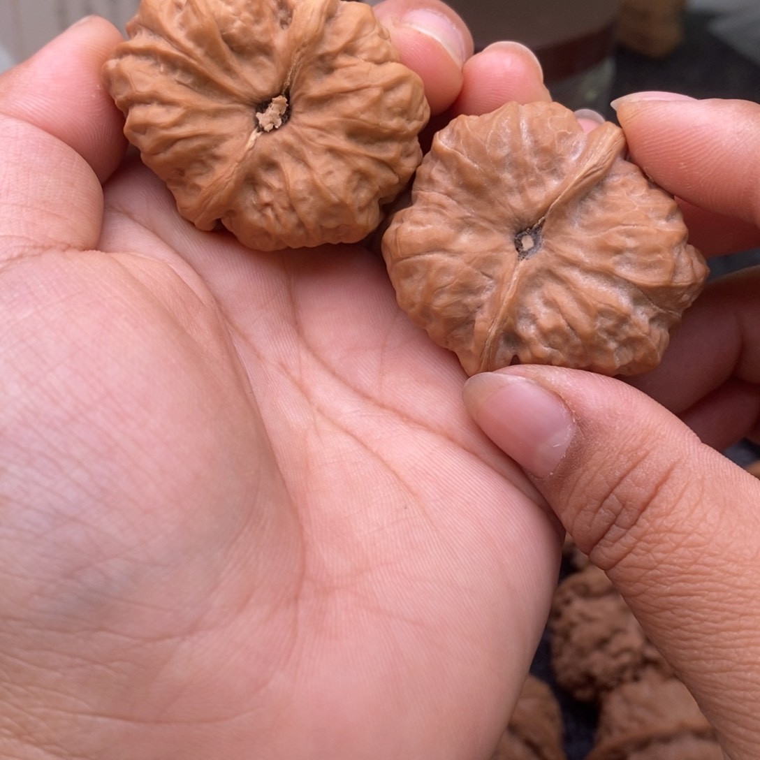 文玩核桃把件37蛤蟆头136