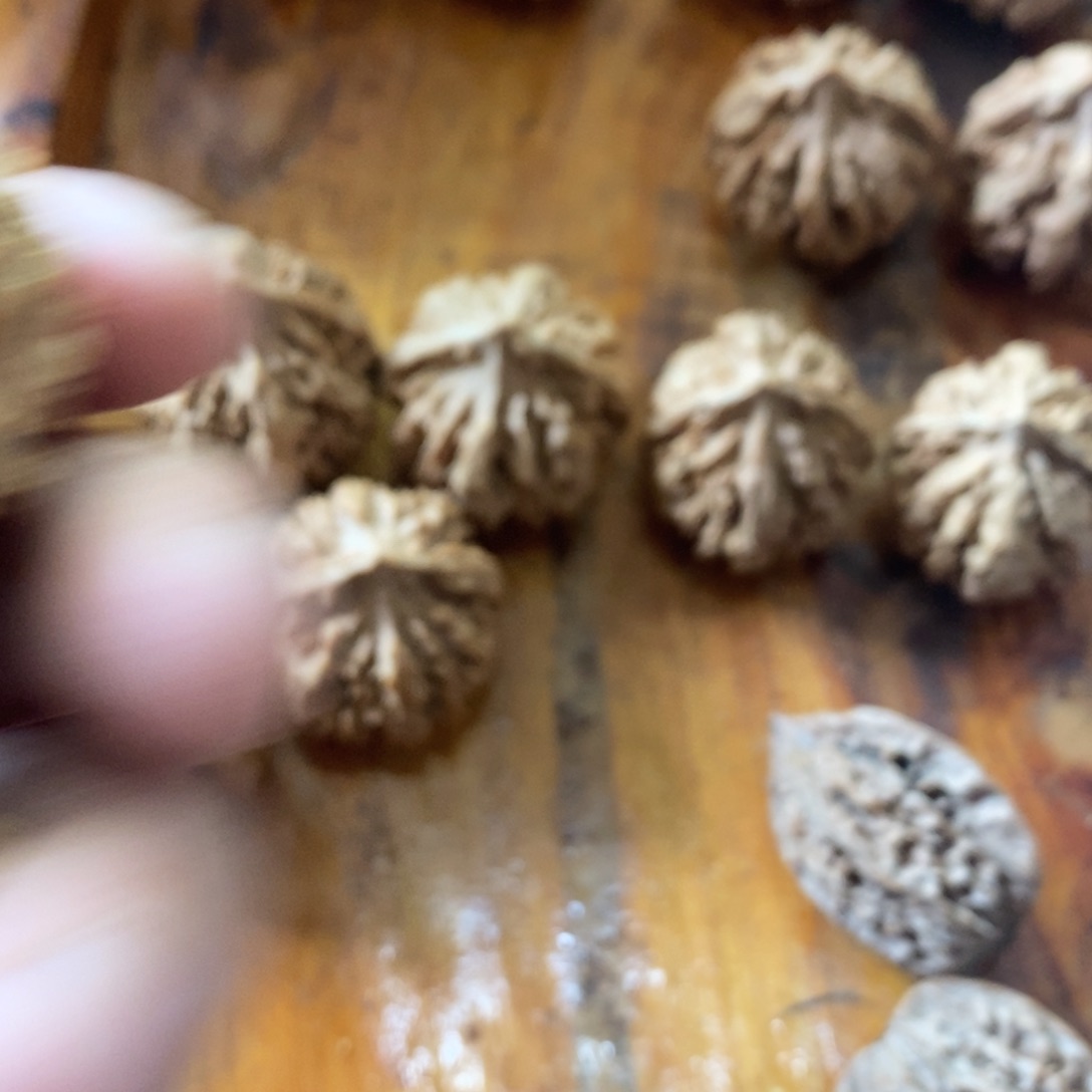 ?****呢秦岭南北区有什么地方需要