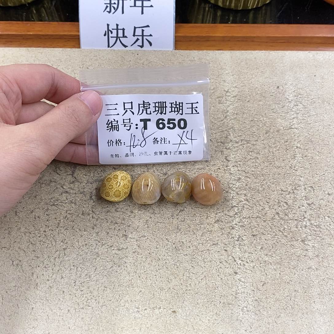 硅化珊瑚（珊瑚玉）1未镶嵌蔷*