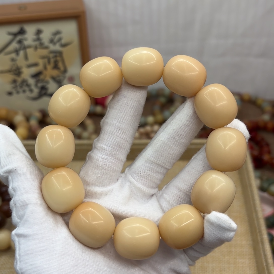 吊坠菩提根/象牙果22干磨瑕疵落地果859