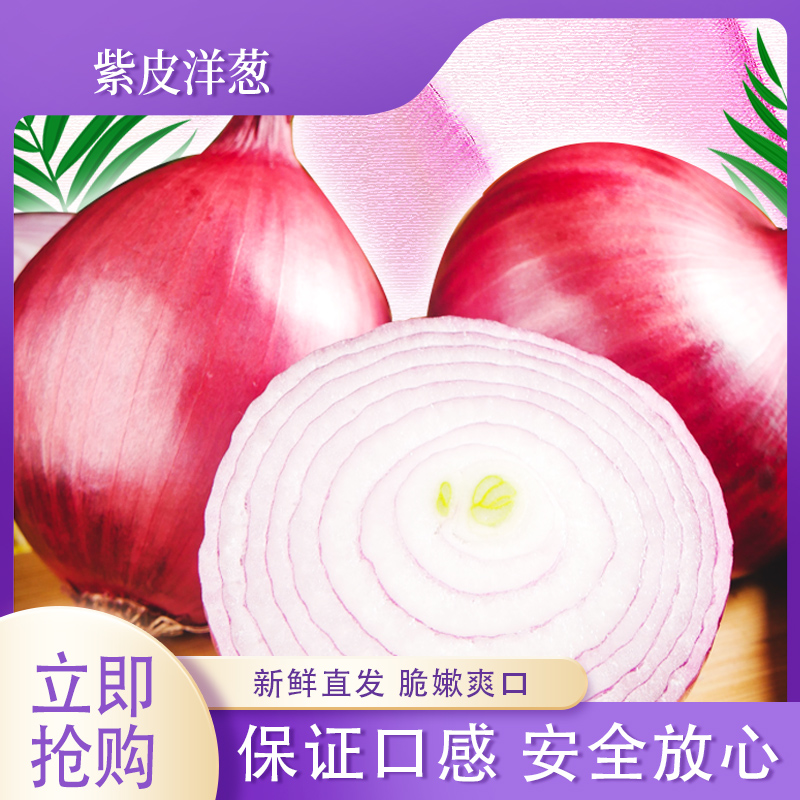 【买五斤送五斤】新鲜现挖紫皮洋葱可生吃炒菜凉拌的水果洋葱T