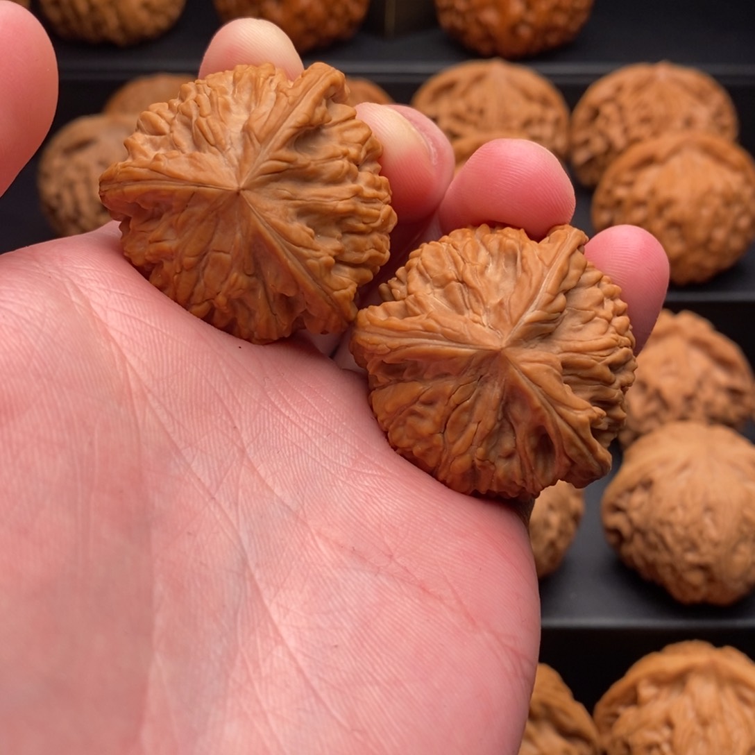 文玩核桃把件39御龙