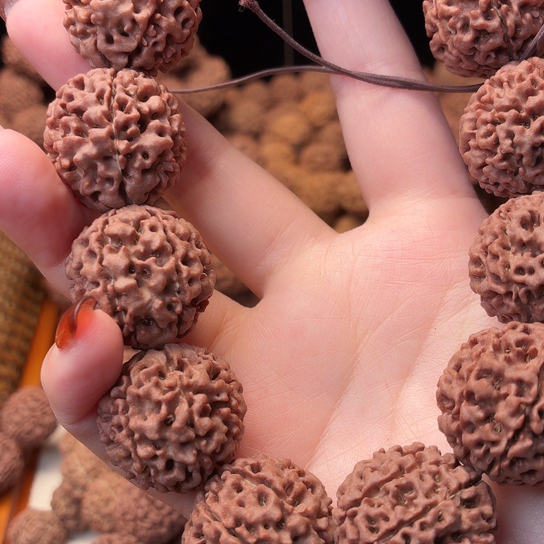 金刚菩提手串七瓣  25  33号