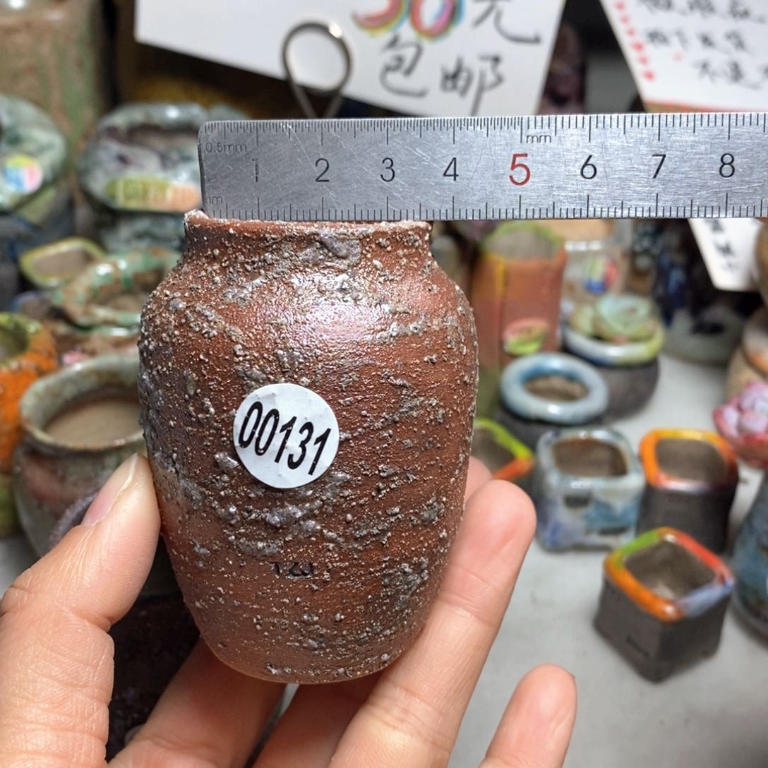 花盆拍5送一个小礼物
