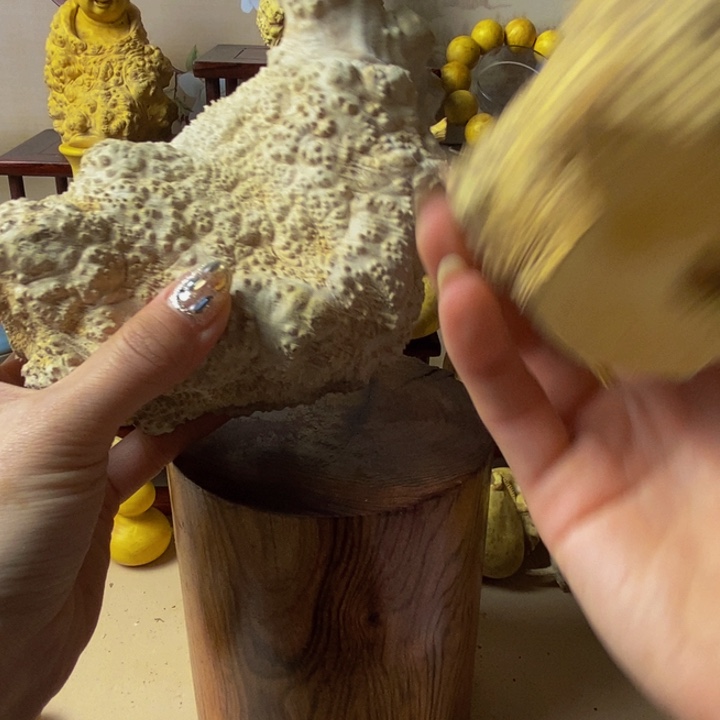 慧***尘黄杨木等多种木材