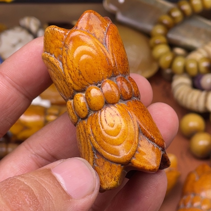 驼骨其他人工养殖