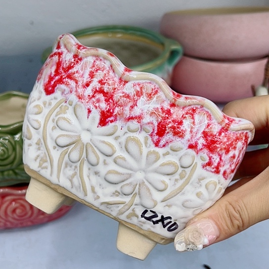 多肉绿植陶瓷花盆9.9包邮，有空