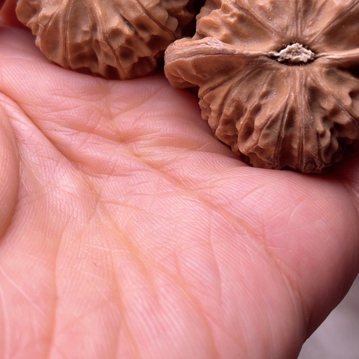 【闪购商品】文玩核桃吊坠琨Idyosgj