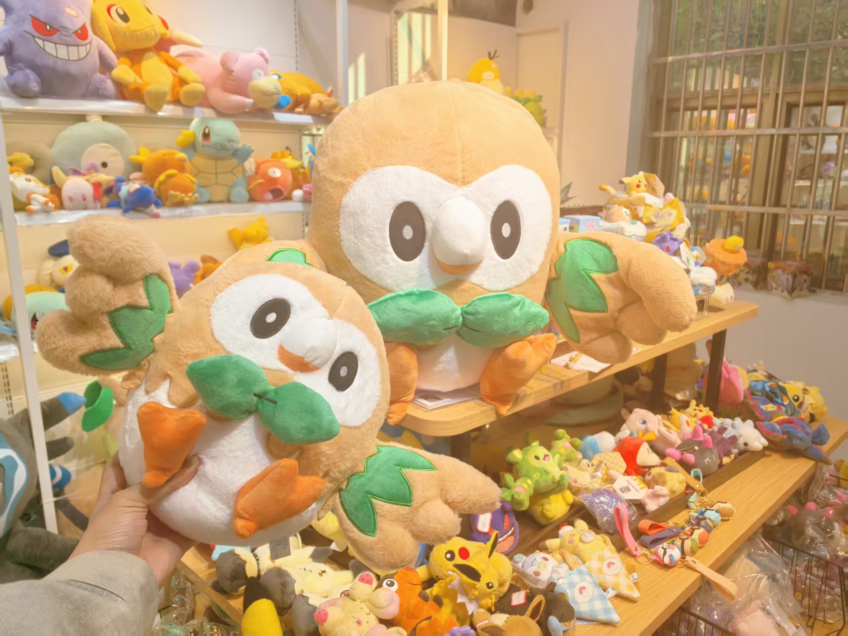 宝可梦毛绒玩具可爱木木枭大抱枕儿童节礼物玩偶动漫二次元公仔