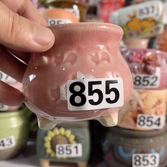 红陶多肉植物花盆