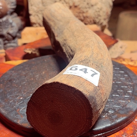 大果紫檀（缅甸花梨）