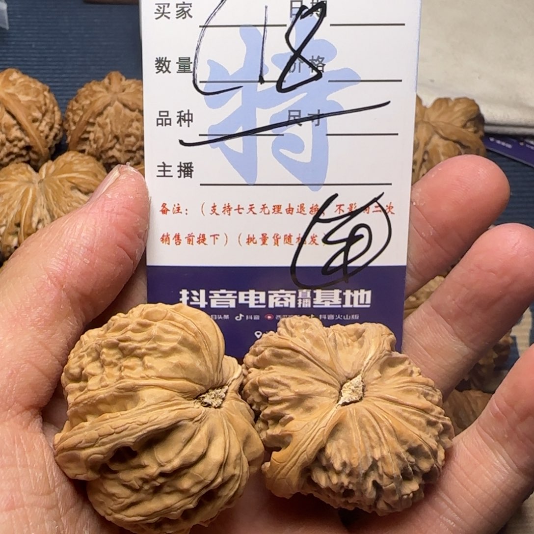 白狮等多种动物的