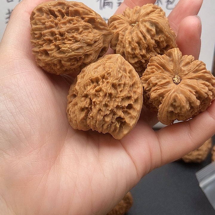 n****大大大大大大南疆黄金甲