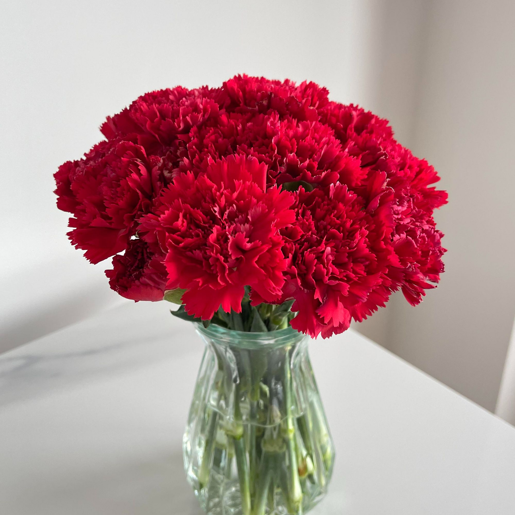 顺丰次日达【18支 红色康乃馨 】鲜花次日达任意两单顺丰包邮送货上门