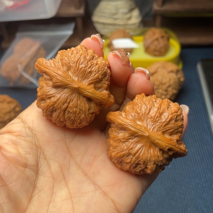 核桃43血麒麟88888