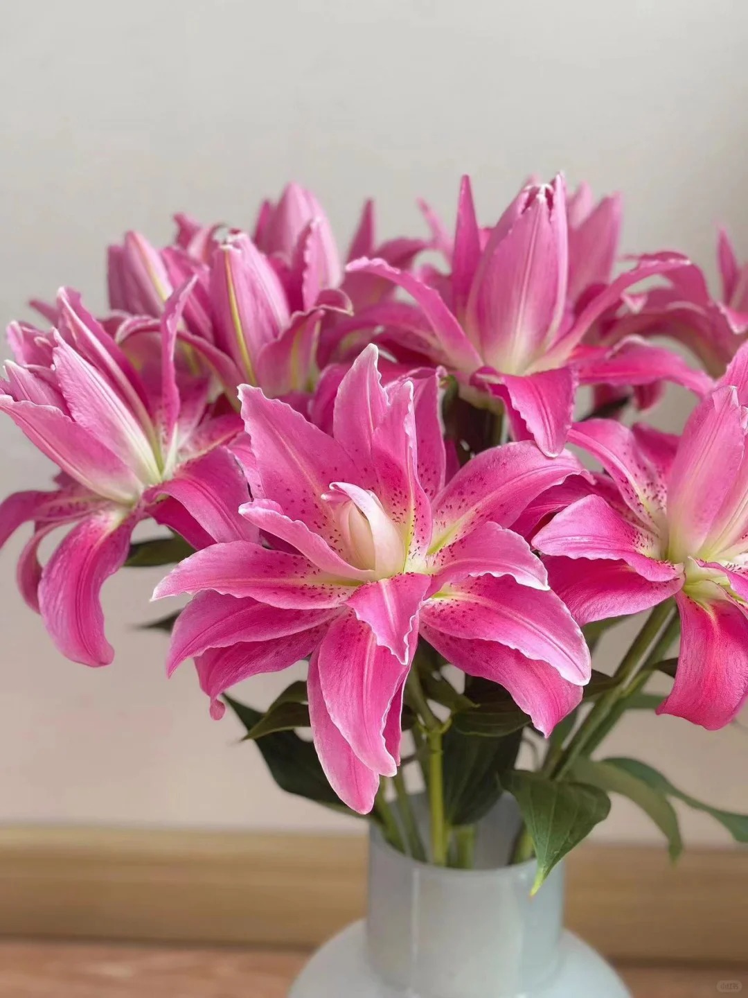 【花满堂】重瓣百合 紫莲花  任意两单包邮 发货后不支持退款