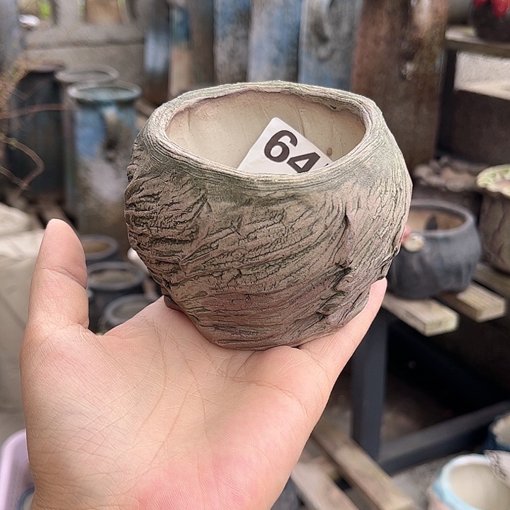 红陶好的时候我们