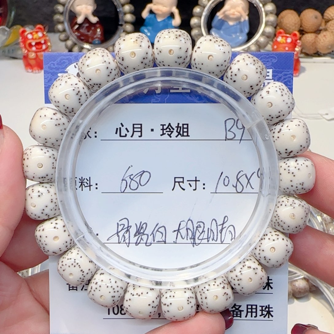 心月星月菩提一号B9