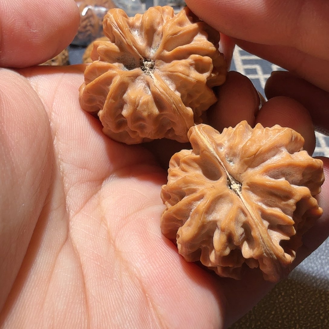 文玩核桃把件曹大龙