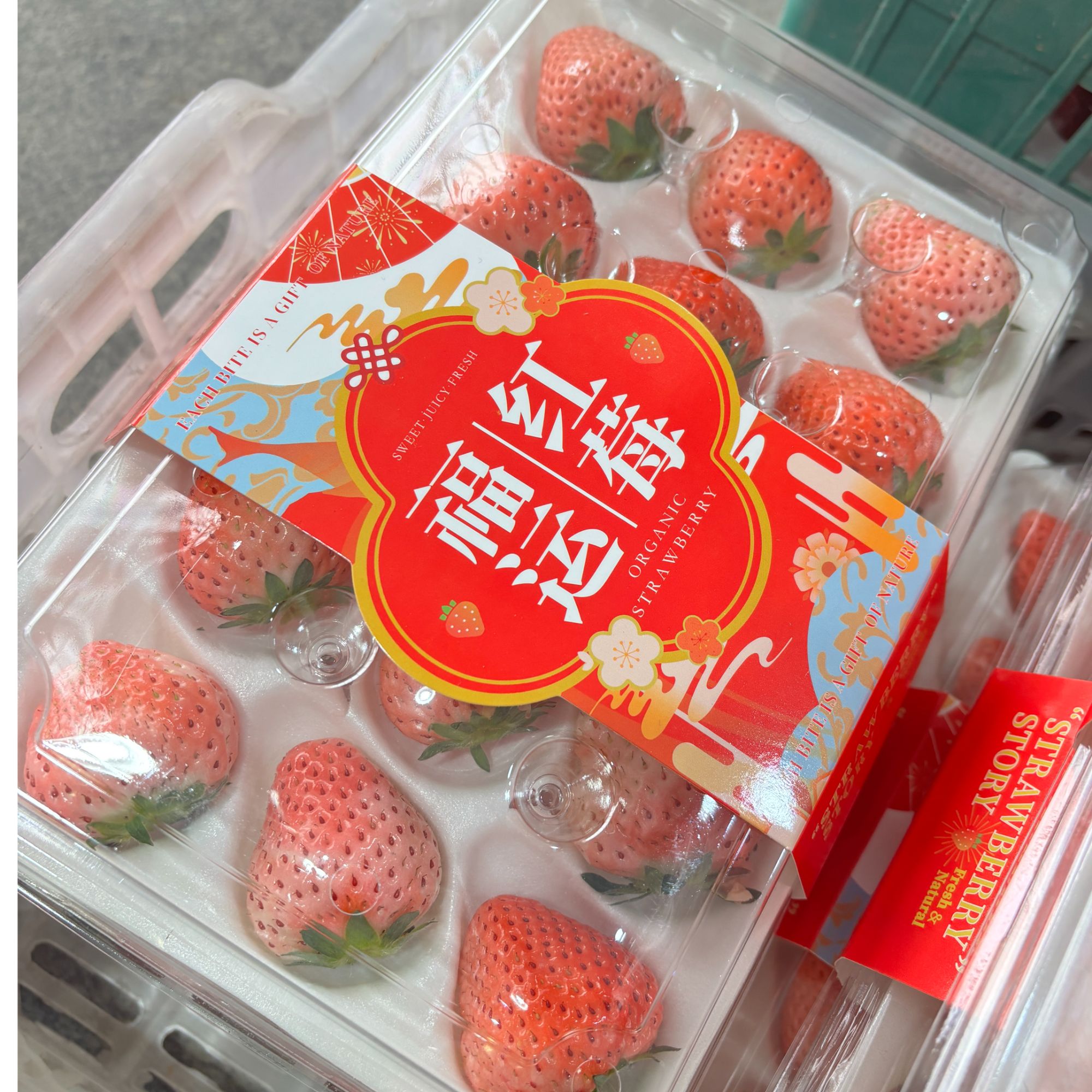 【粉玉一盒】本地福运草莓大果350克