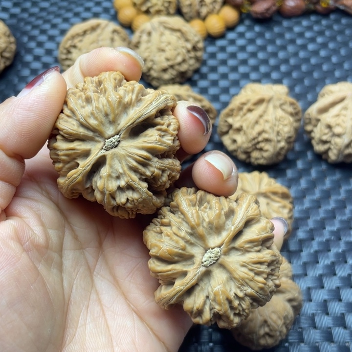 向***葵文玩核桃吊坠粗筋，有小磕碰