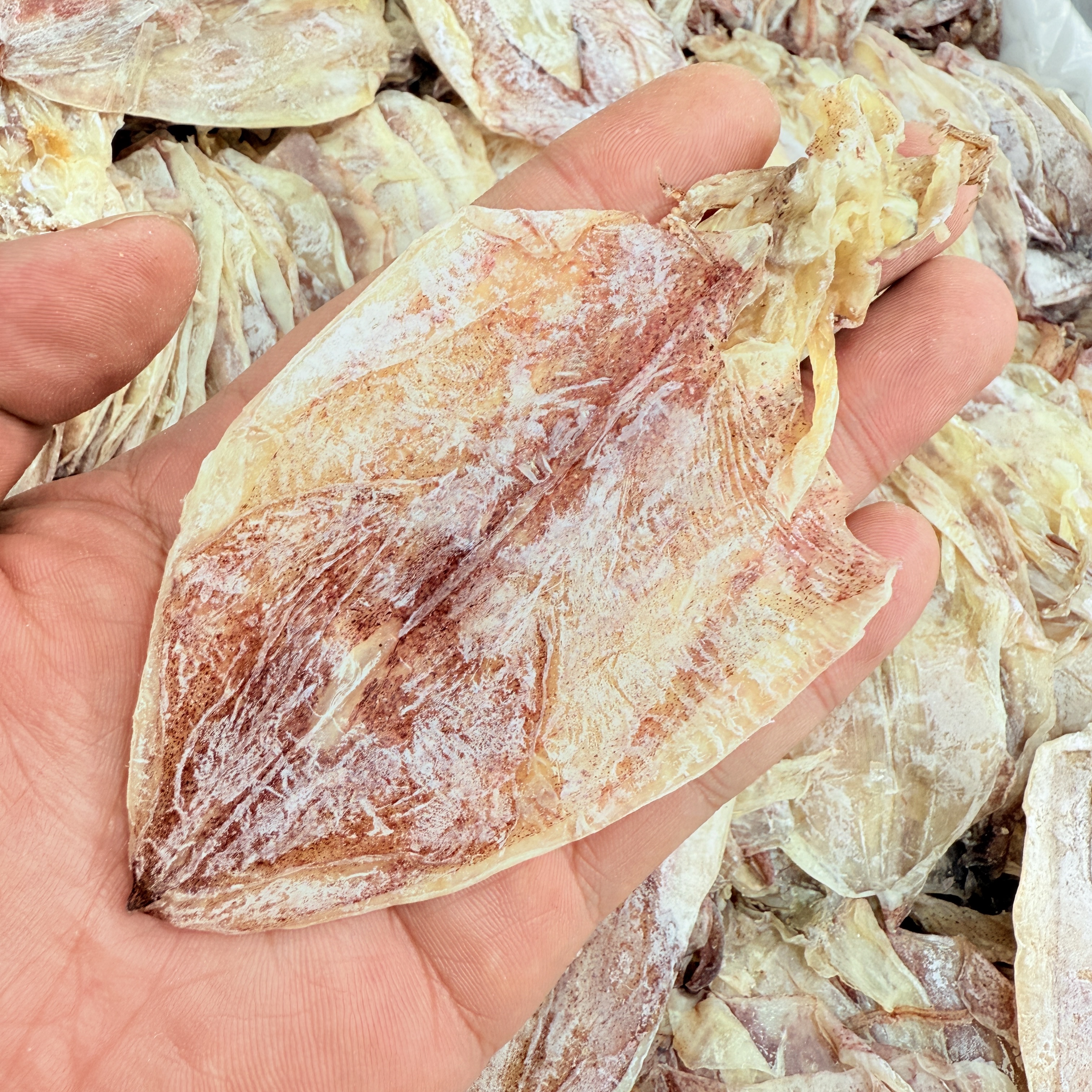 【马鲛仔海产明仔】淡晒新晒A5鱿鱼干 250/500g 顺丰包邮博贺港发货