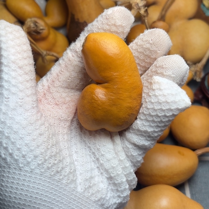 殷***琪葫芦风裂66666667777